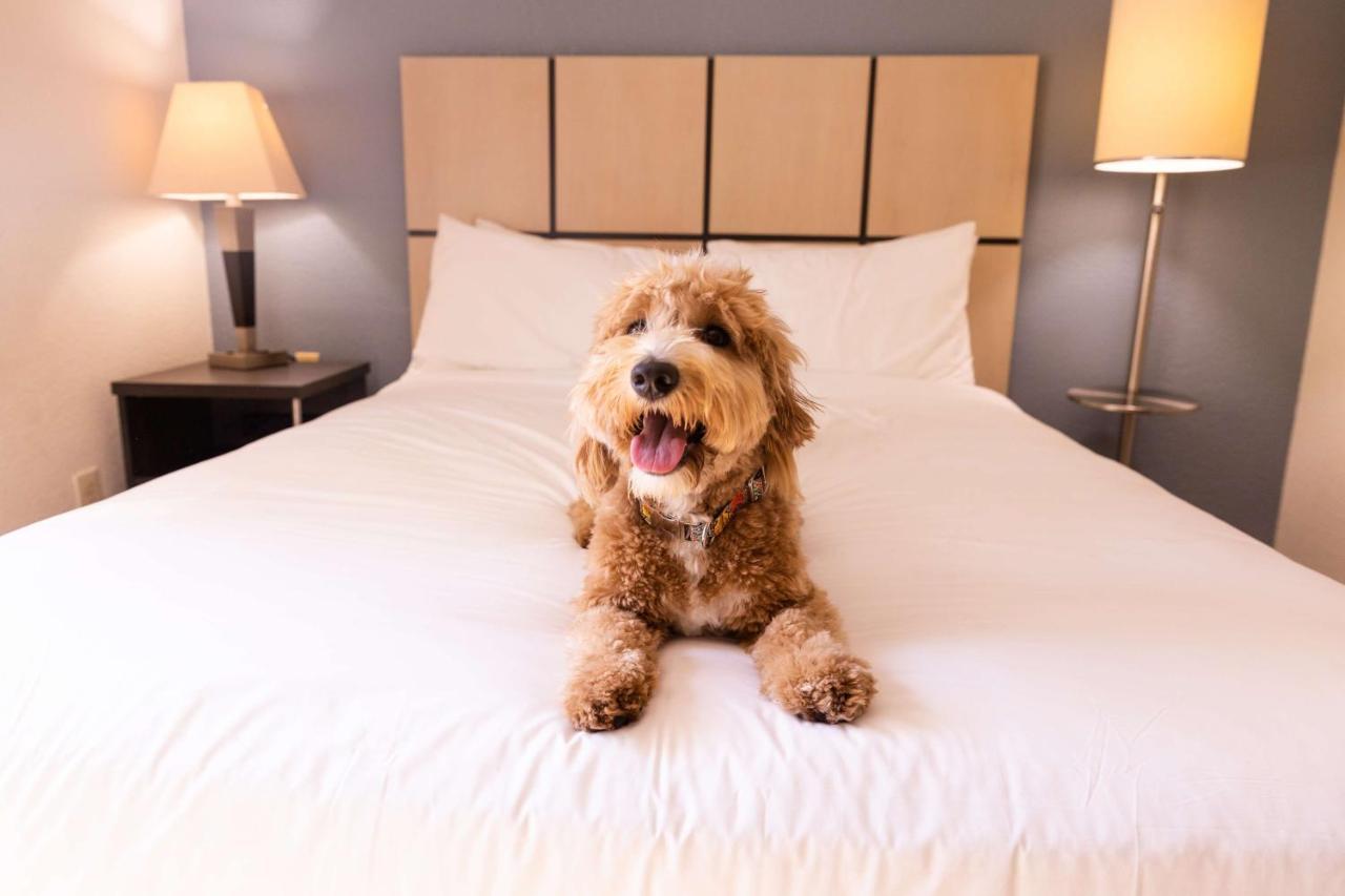 Sonesta Simply Suites Clearwater Esterno foto